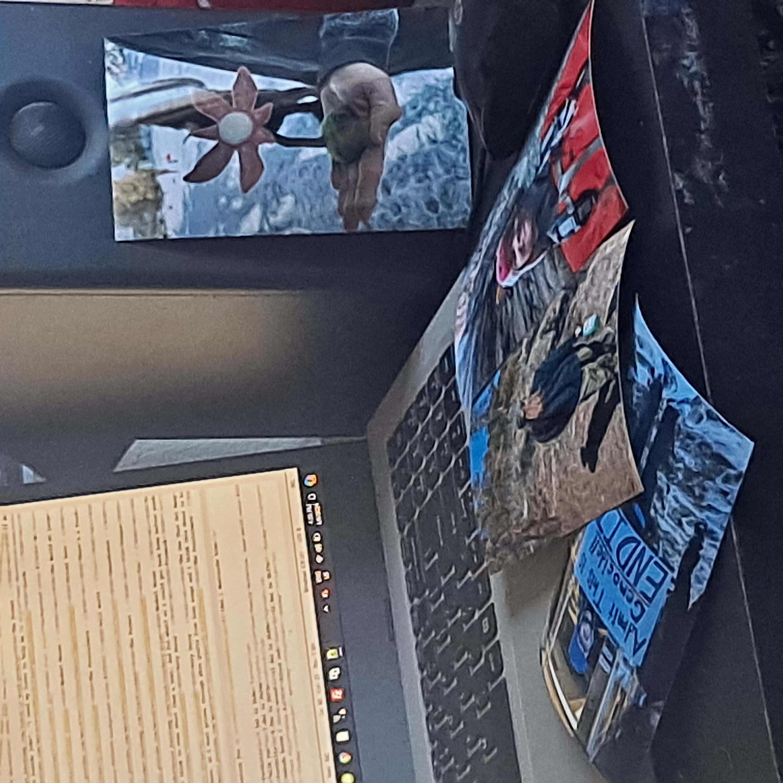 photo of prints of pictures of Keaton strewn about my laptop as i code this. left: Keaton holding sign that reads 'Admit this is genocide!! END IT', center: view from behind of Keaton on a hike. they are wearling a blue-green flannel and a ponytail, right: Keaton in a snowy environment witha crocheted cow hat, standing: needlefelted flower