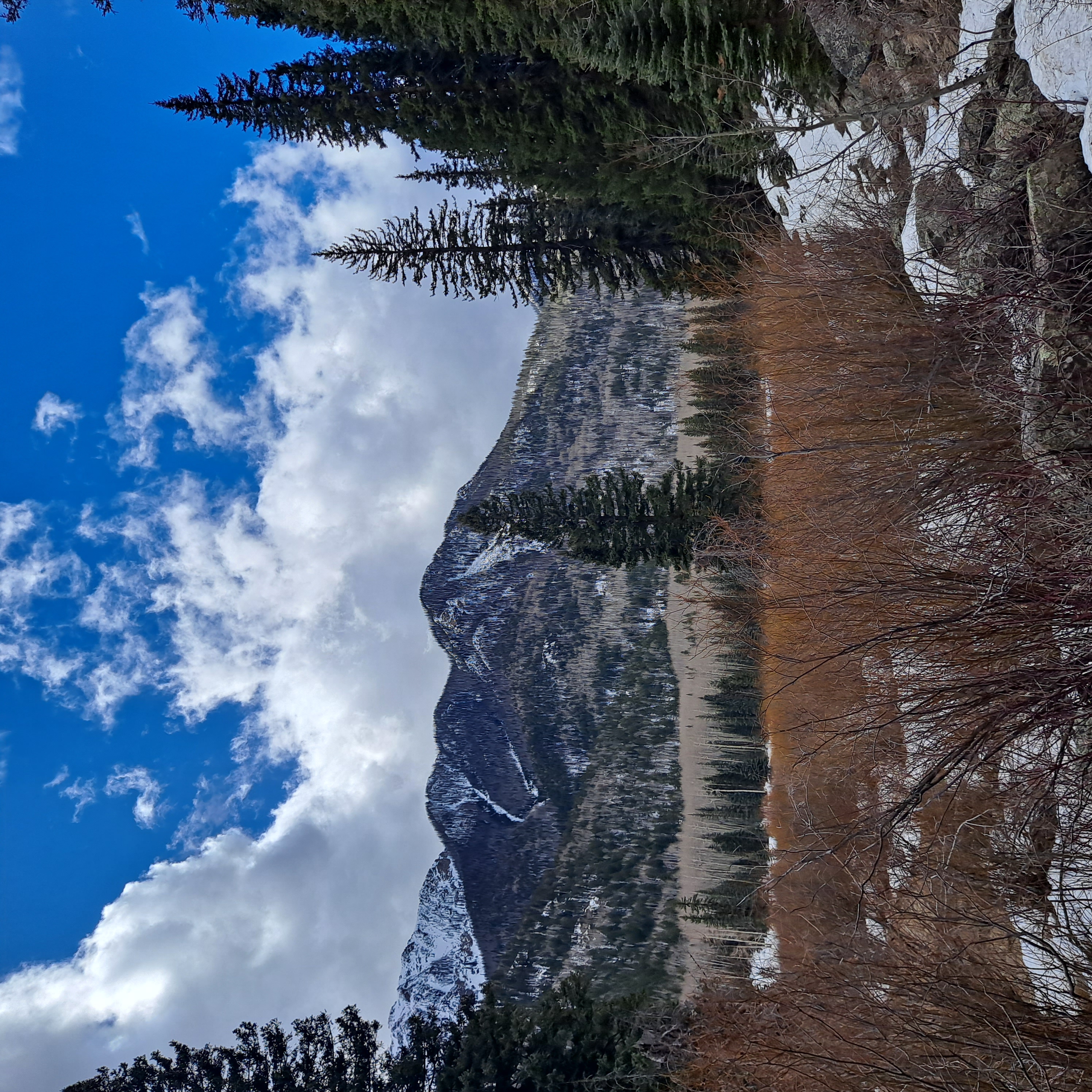 ~NE view of the location Keaton's ashes were spread in the Weminuche Wilderness. mountains, snow, river, pine tress, brown-red bush foliage