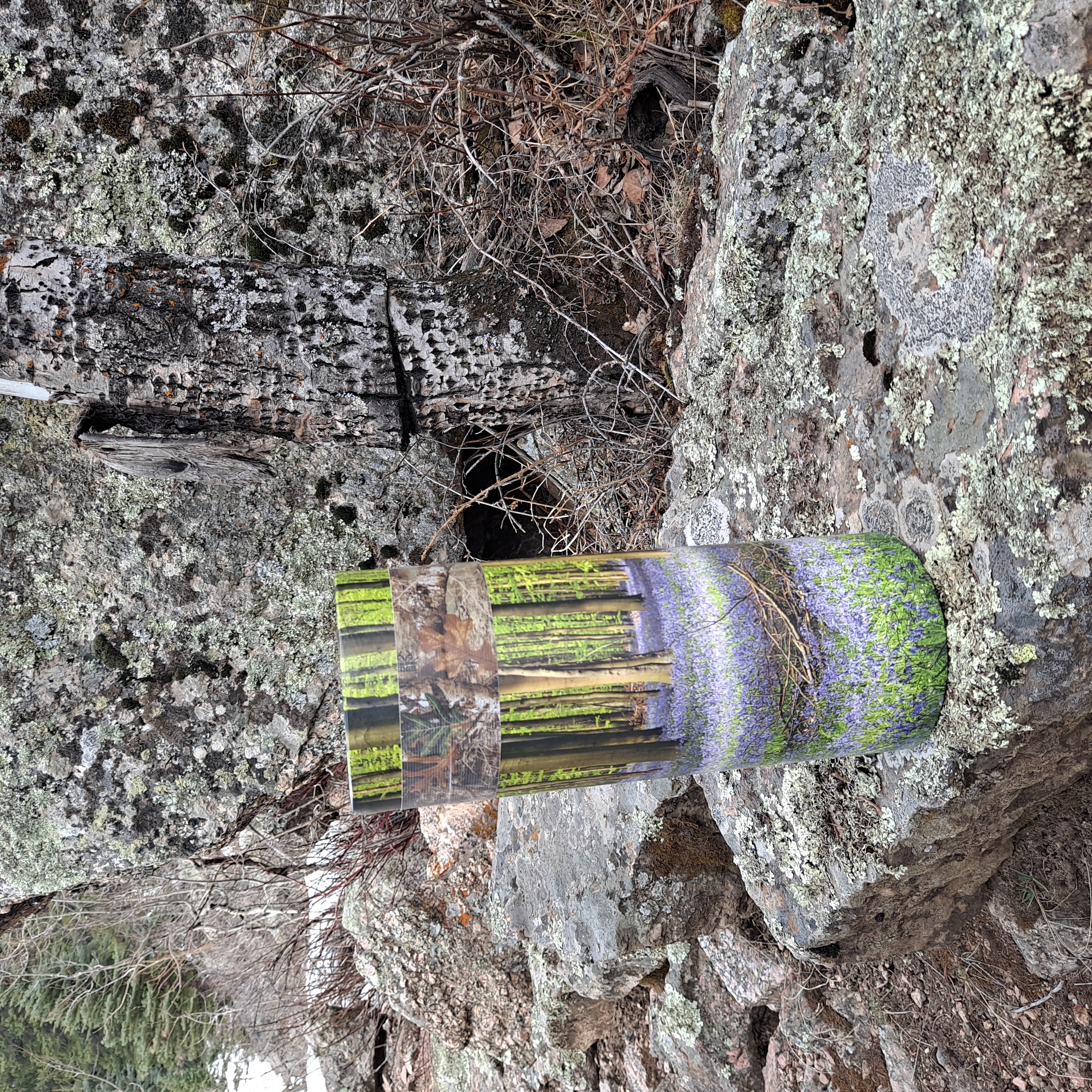 container containing Keaton's ashes sitting on a rock